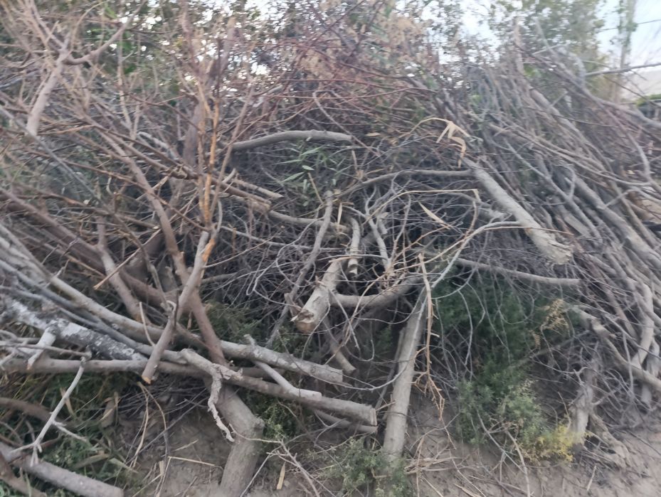 Курук Утин  сотилади.