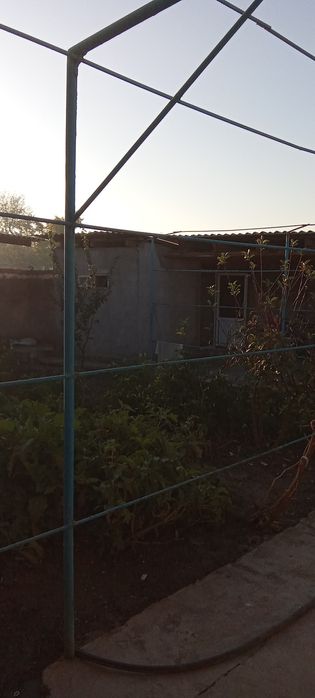 Нурафшон тойтепада уй сотилади