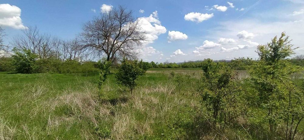 Продава стара къща с дворно място