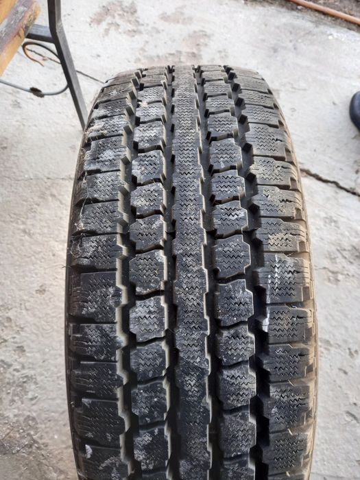 Қыстық болондар,