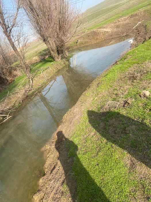 Участок жайылым жер