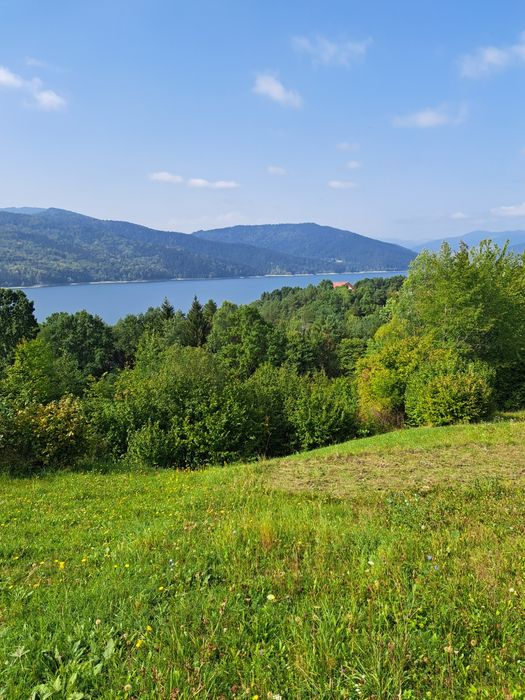 Teren lac Bicaz(Izvorul Muntelui] com.Hangu/Buhalnita