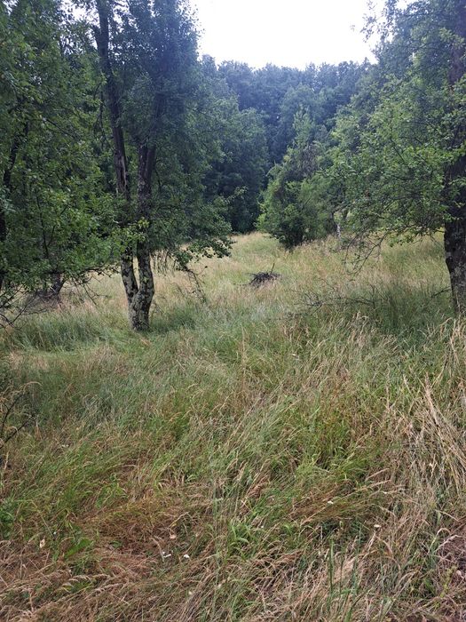 Косене на тревни площи,рязане на дърва,кастрене на дървета.