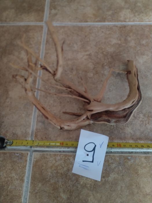 Специализирани аквариумни лампи и корени от азалия