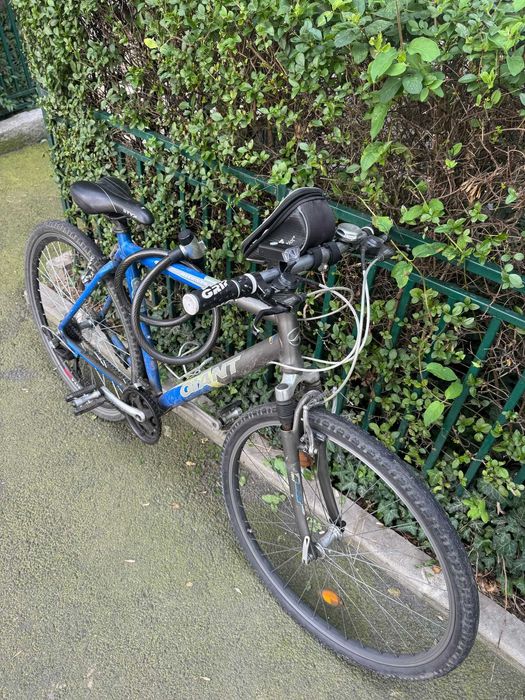 Hope Amanet P12 - Bicicleta Giant