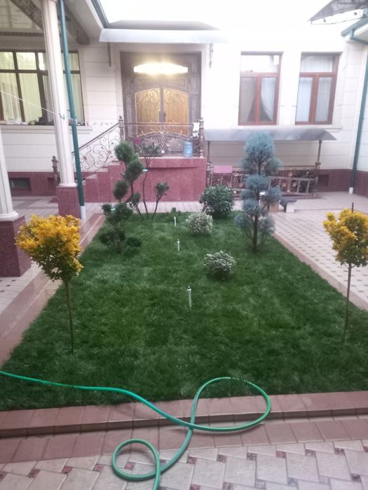 Gazon ekamiz yevro gazon ekamiz