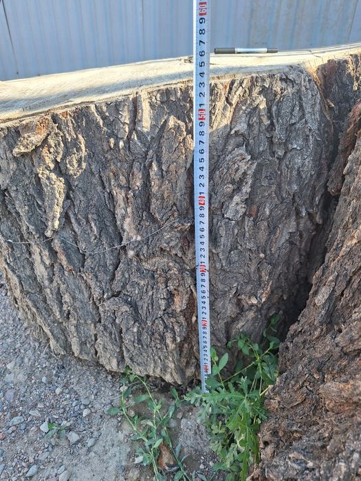 Чурбак для мяса (карагач)