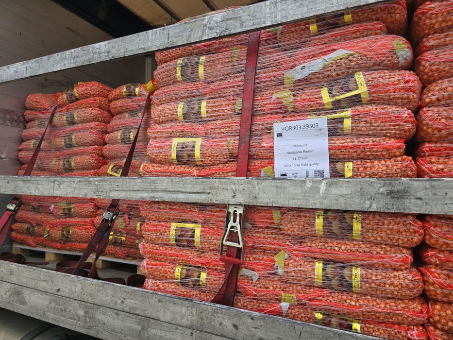 Vand Arpagic Stuttgarter