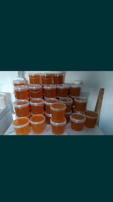 Продам мёд разнотравие