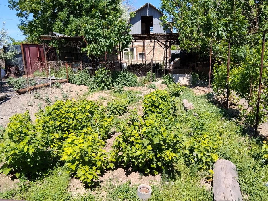 Продам дачу на Ягодке