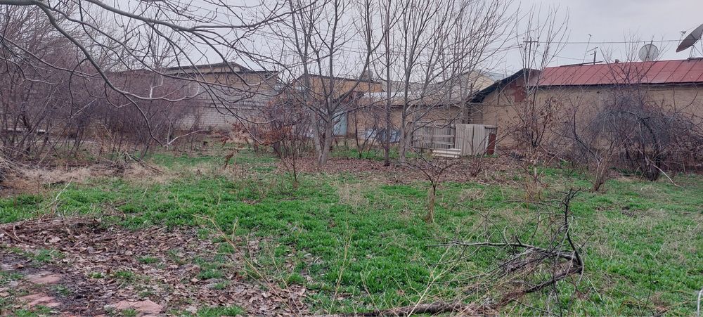 14 sotix Sag’bon dan yer sotiladi