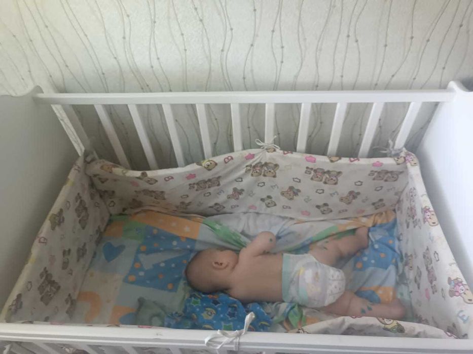 Манежка датская новая