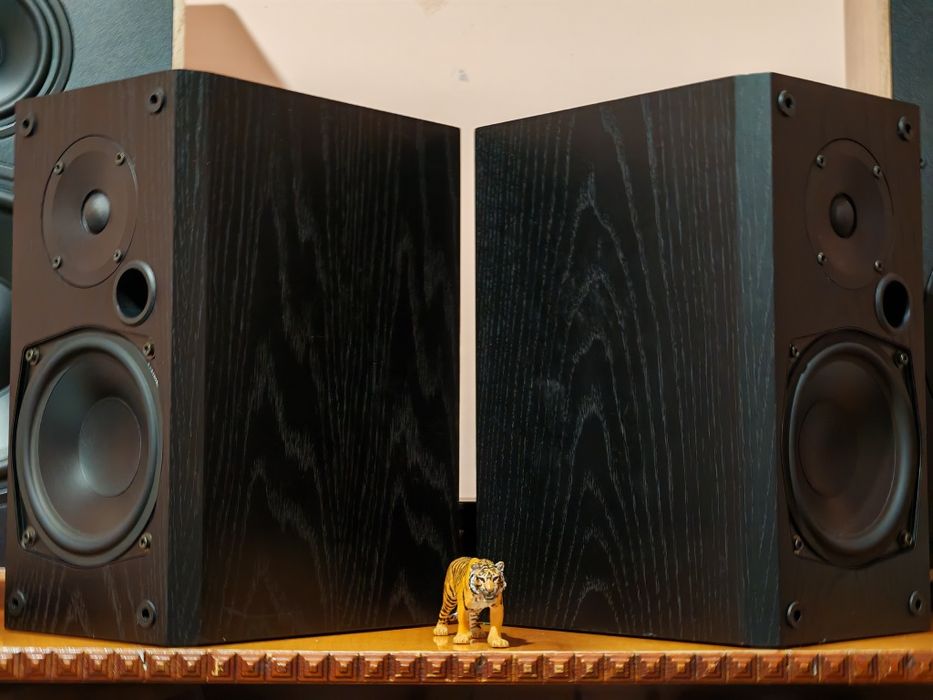 ASW Inkongnito ISM-2. Boxe superbe, rare. Sunet audiofil. Preț fix !