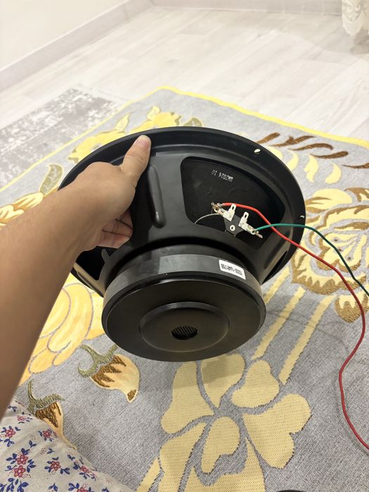 Динамик 12 дюмовый