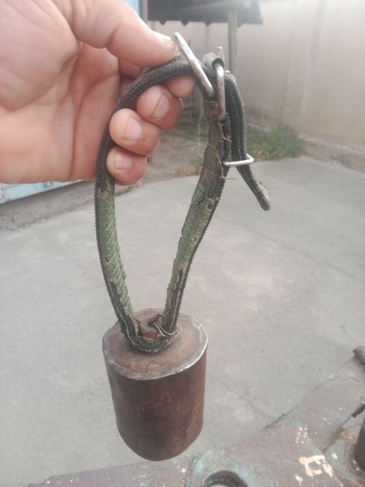 Калакольчик сиыр қойға ешкіге