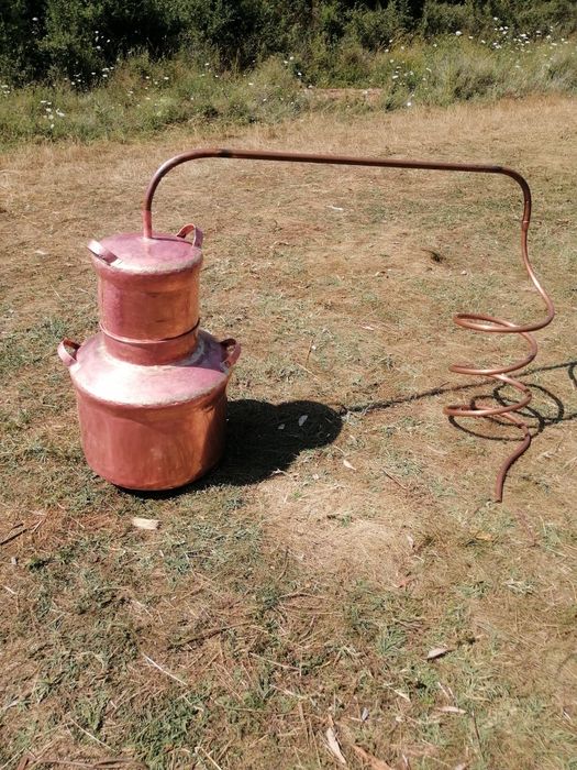 Van cazan pentru țuică din alama cu capacitatea de 10 găleți.
Cazanul