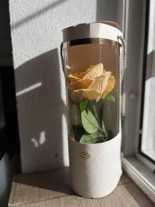 trandafir galben impachetat