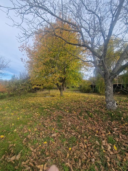 Teren intravilan 2875 mp Barnova