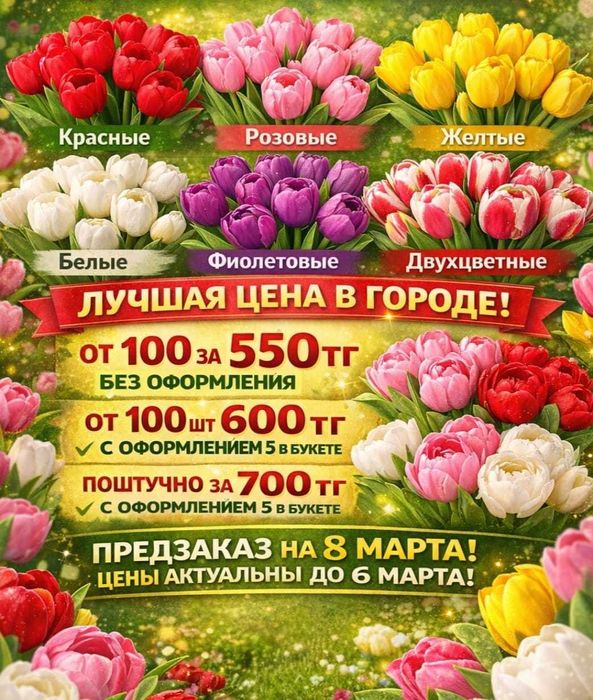 Тюльпаны Голландские ОПТОМ И В РОЗНИЦУ