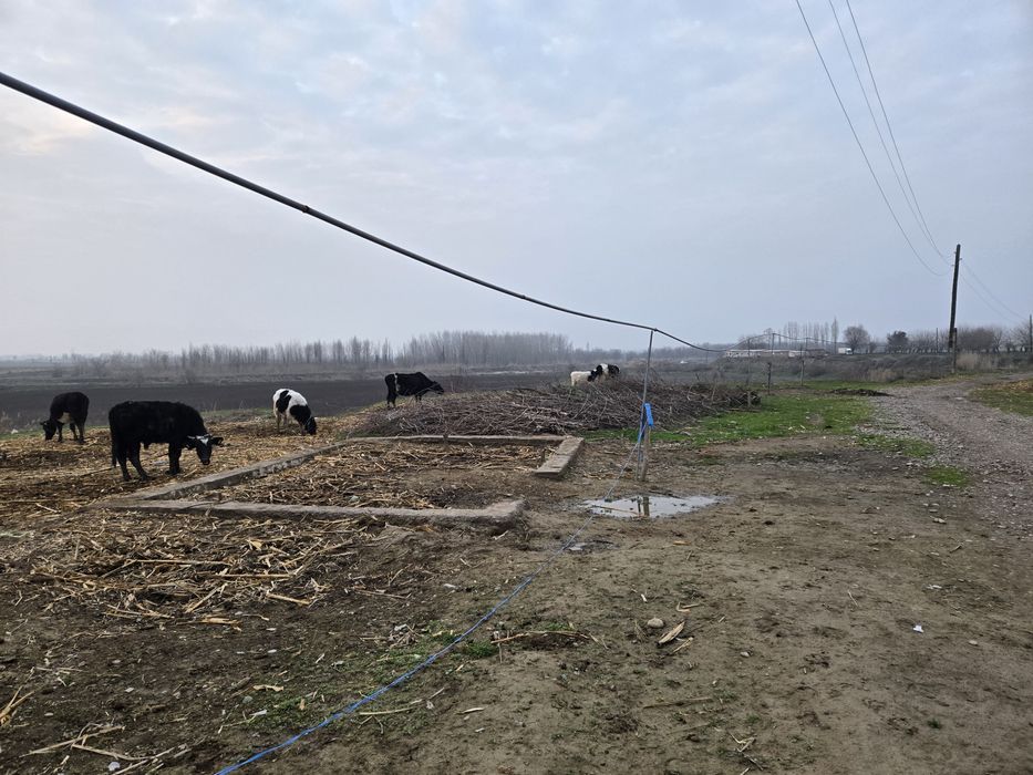 Yer uchaska sotiladi