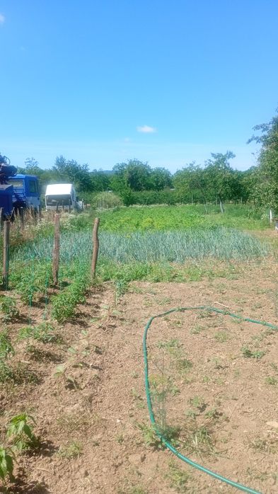Casă de vânzare Agrișu Mare județul Arad