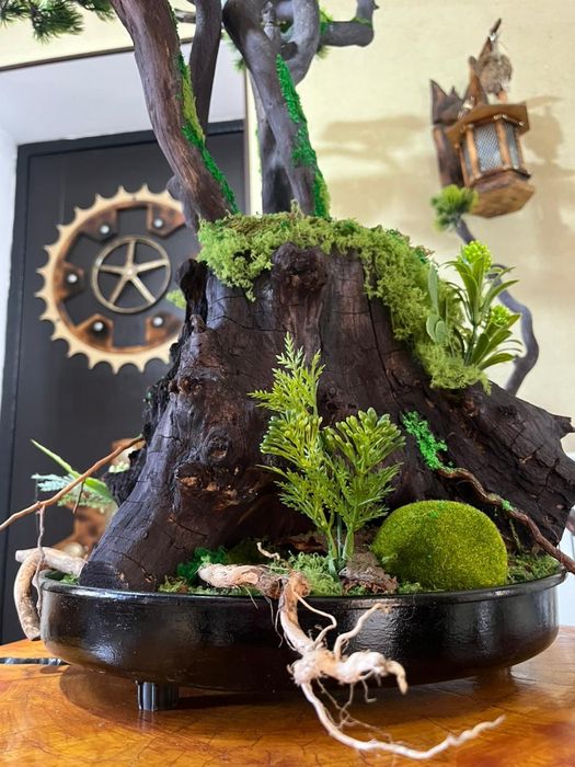 Бонсай ручная работа