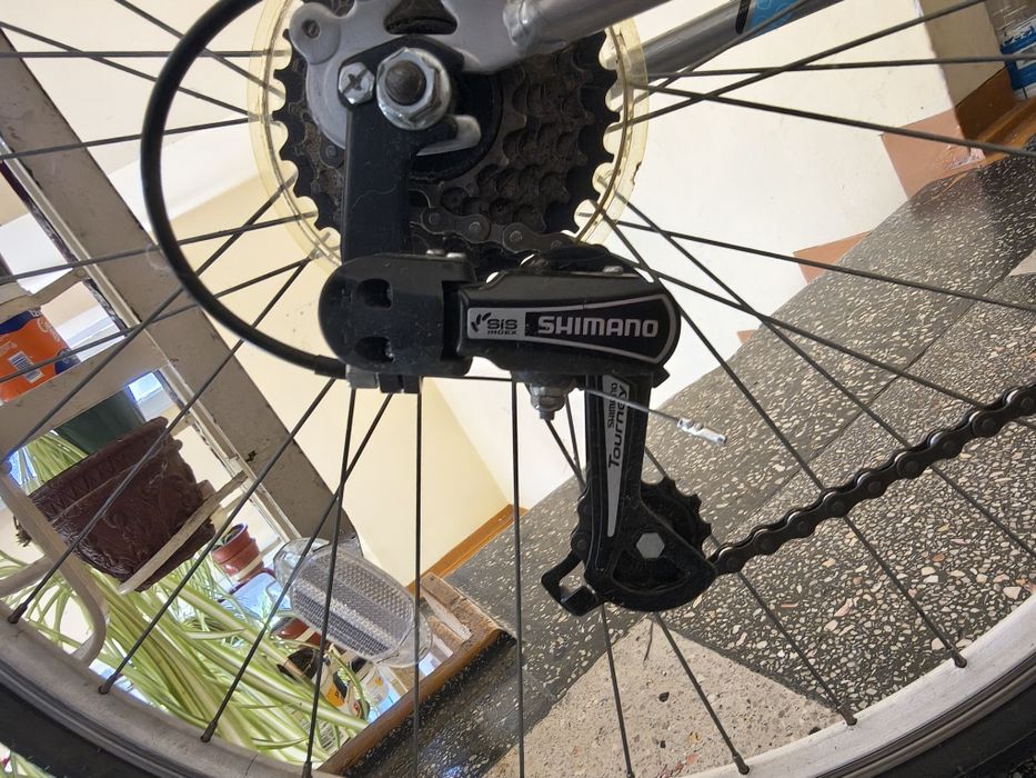 Bicicleta dama de oras (28 inchi)