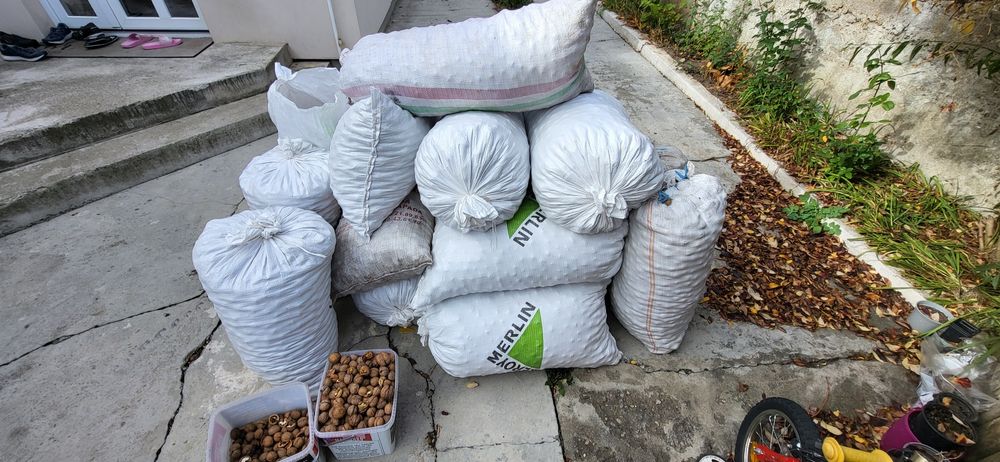 Vand nuci in coaja 13 Ron/kg