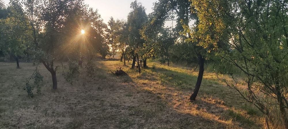 Vand teren intravilan+extravilan Cobia/Dambovita