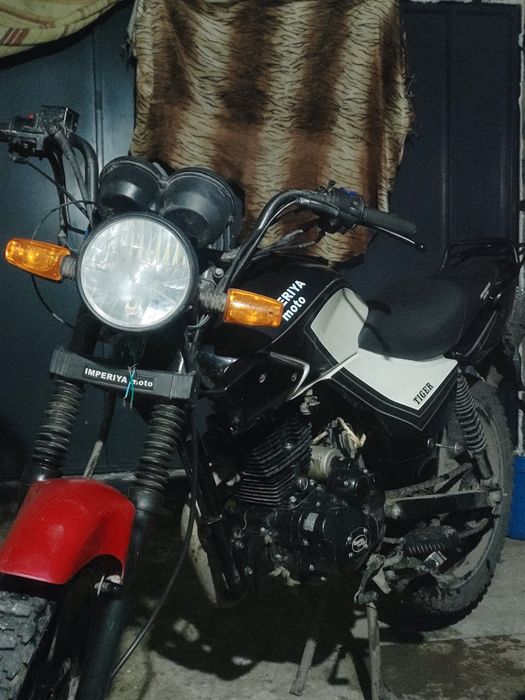 Тiger 200cm  295 торг