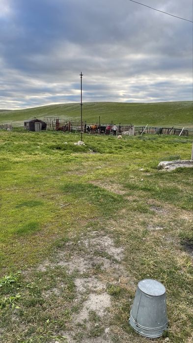 Крестьянское хозяйство