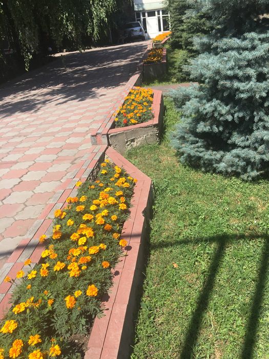 Продам дом