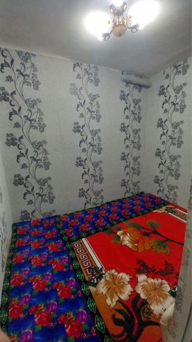 Urganch shaxrida 3 hona