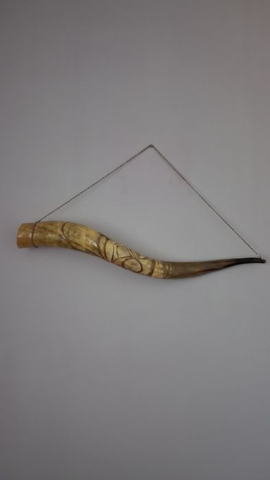 Рог изобилия большой