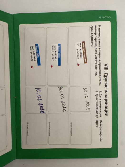 Продажа немецкой овчарки