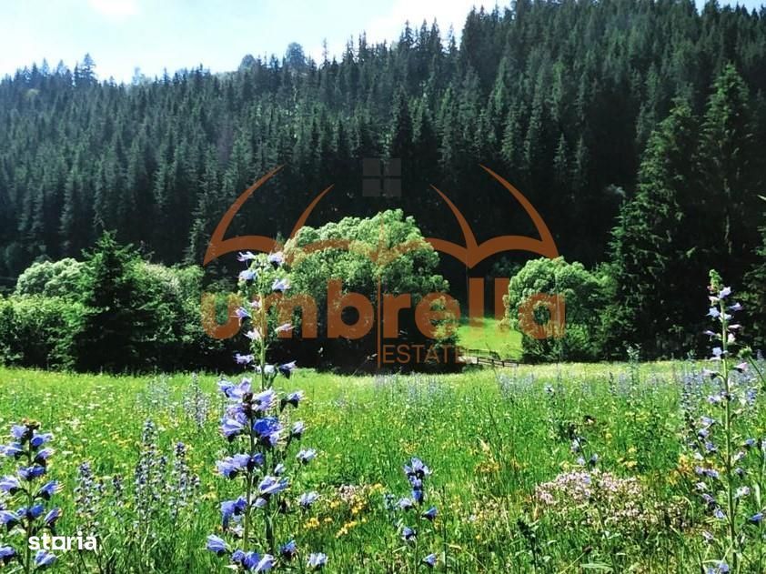 Teren De Vanzare 34.201M²20€ M² In Varsag Harghita