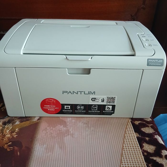 Imprimanta Panthum P2509W