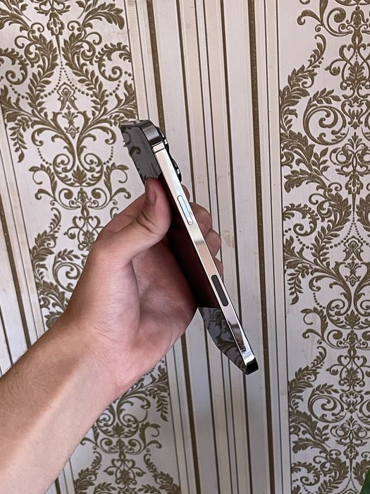 iPhone 13 pro max ideal