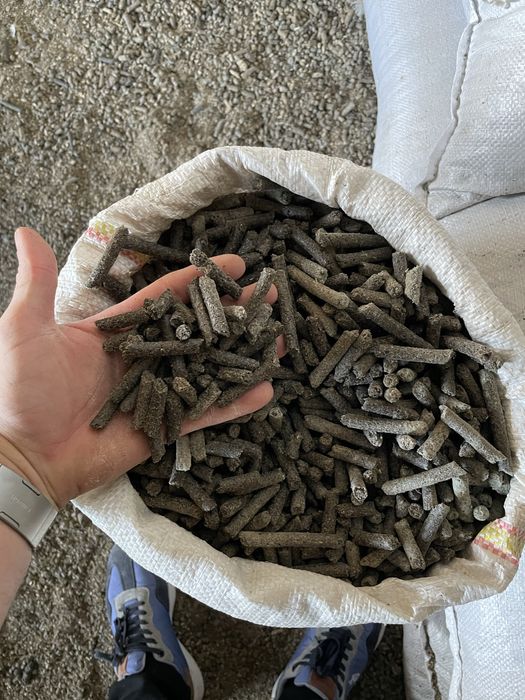 Lucerna, trifoi , iarba sudan , maturica,sorg, borceag,mei,rapita