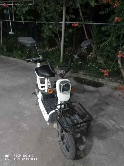 skuter bado kampaniyasi