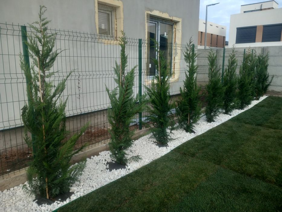 Amenajări spatii verzi
