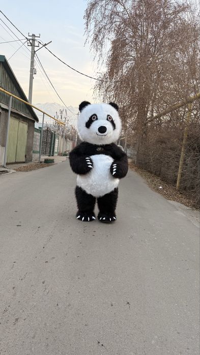 Воздушный костюмы на Прокат