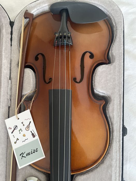 Скрипка для взрослых