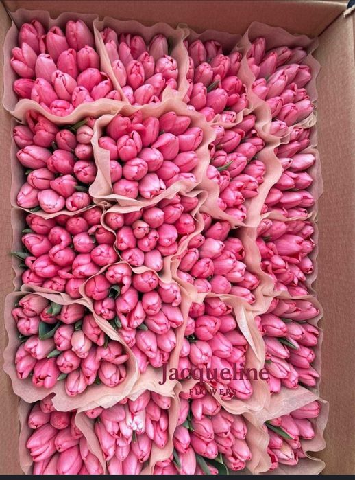 Тюльпаны оптом и в розницу