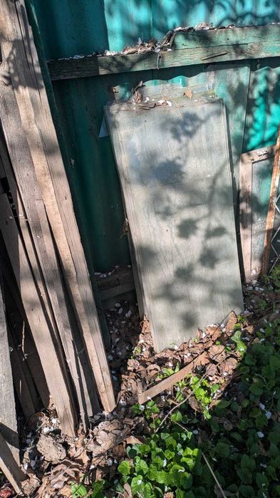 Деревянные оконные рамы со стеклами и просто стекла