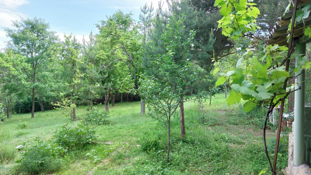 Продава се Къща в с. Егълница, Област Перник - 19 кв.м за 1053 €/кв.м - Снимка #11