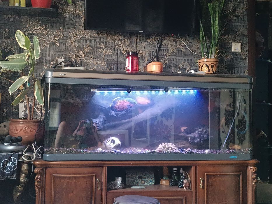 Аквариум  Jebo 300 литров