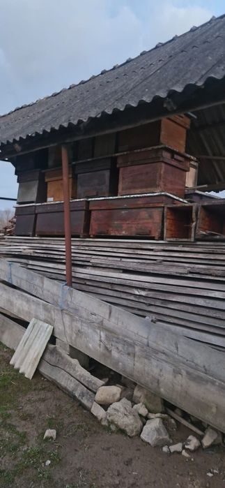 Vând coptare(lazi) pentru albine