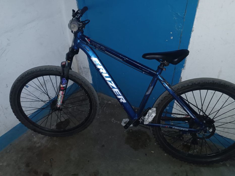 cruzer c300 mtb