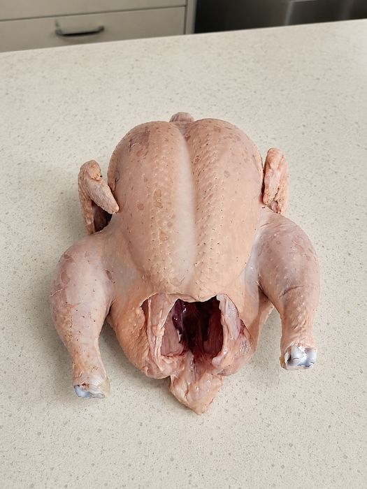 Мясо домашнего бройлера